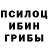 Галлюциногенные грибы Cubensis Colyer