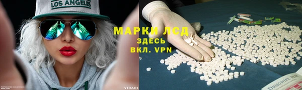 дживик Медвежьегорск
