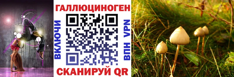 Псилоцибиновые грибы GOLDEN TEACHER  наркотики  дарк нет формула  Горячеводский 